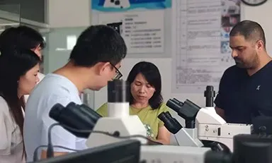 product-384-231 product-384-231